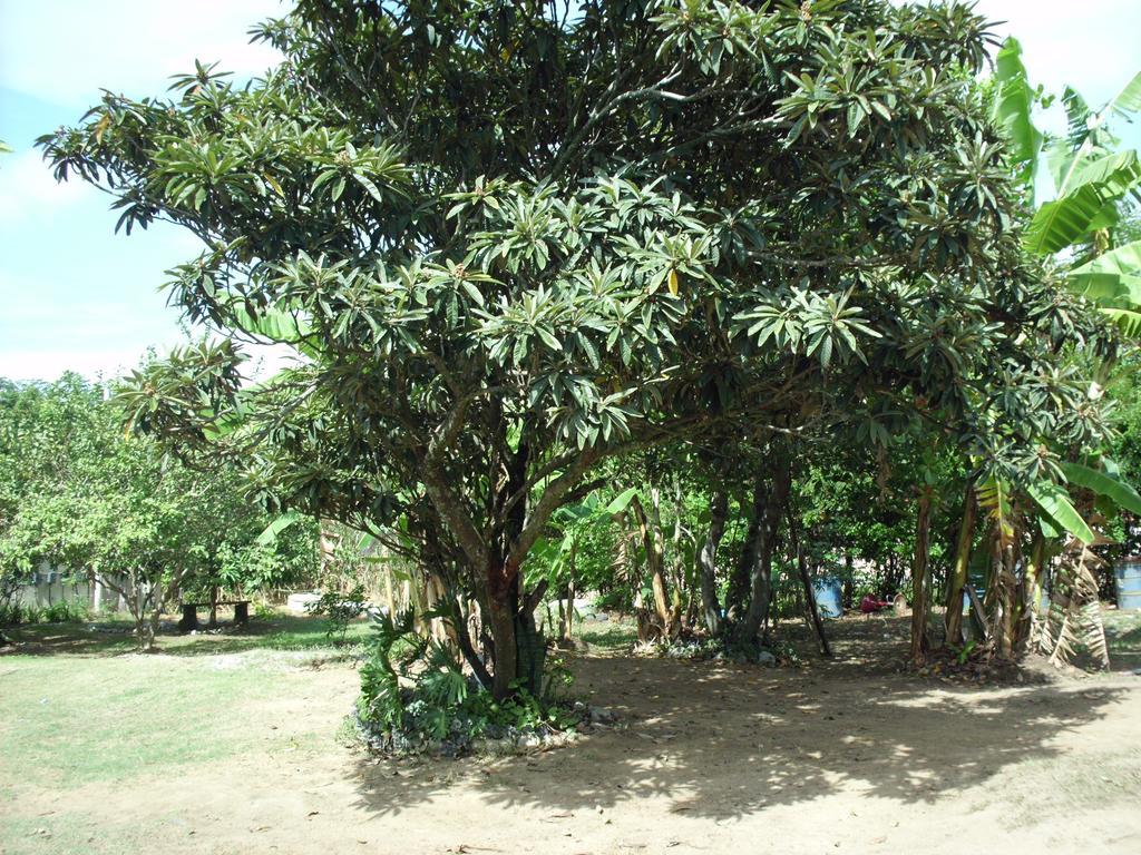 Homestay Pousada Pimenta Rosa Saquarema