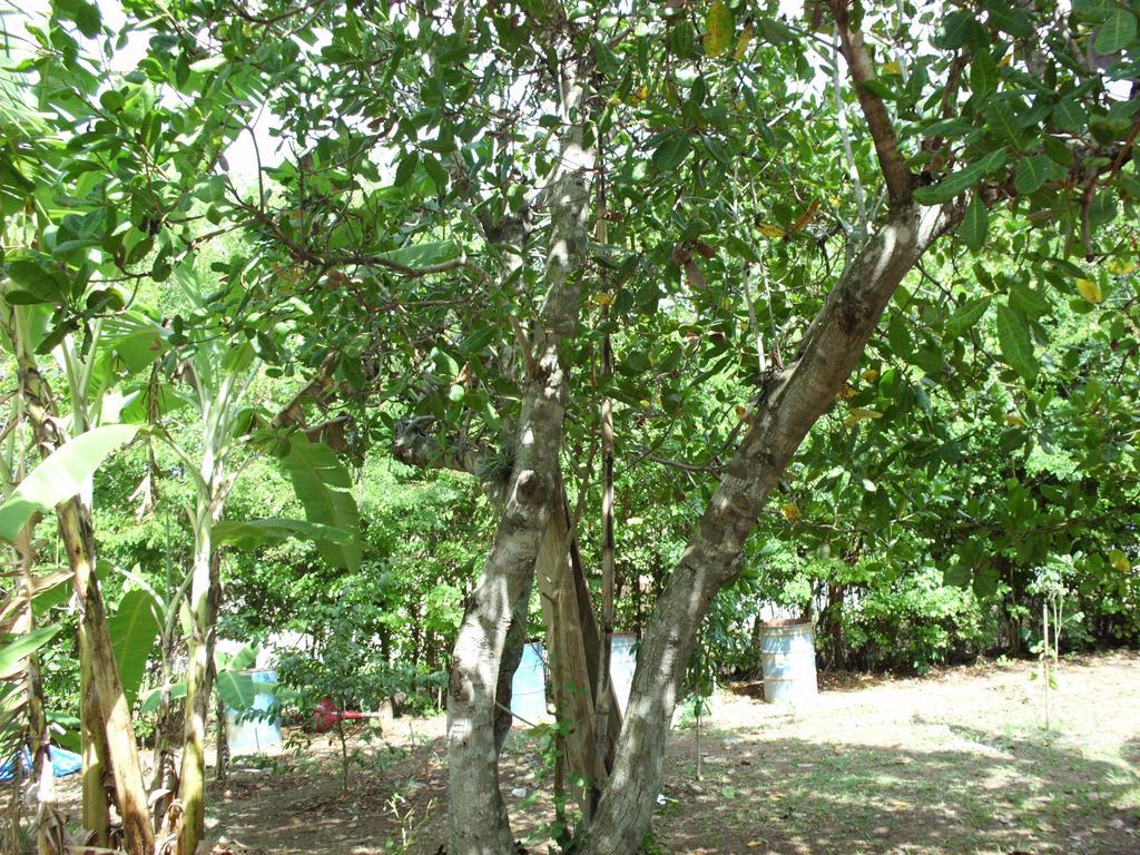 Homestay Pousada Pimenta Rosa Saquarema