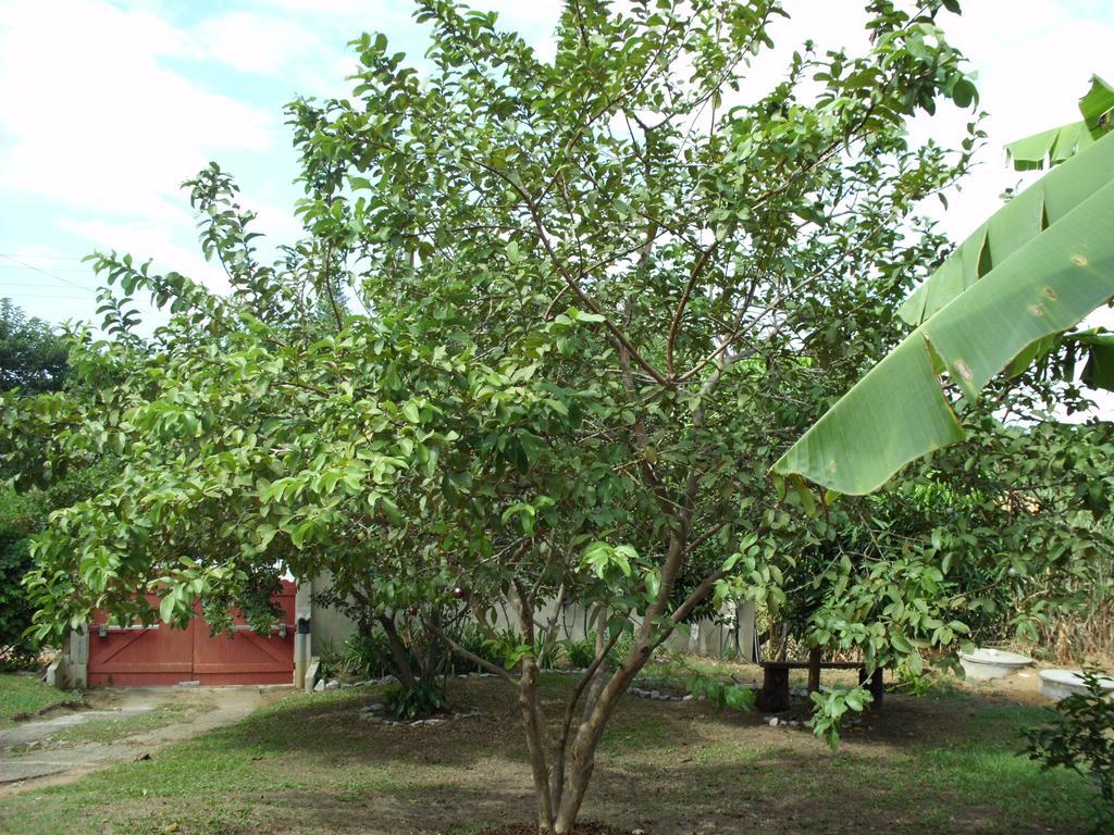 Homestay Pousada Pimenta Rosa *