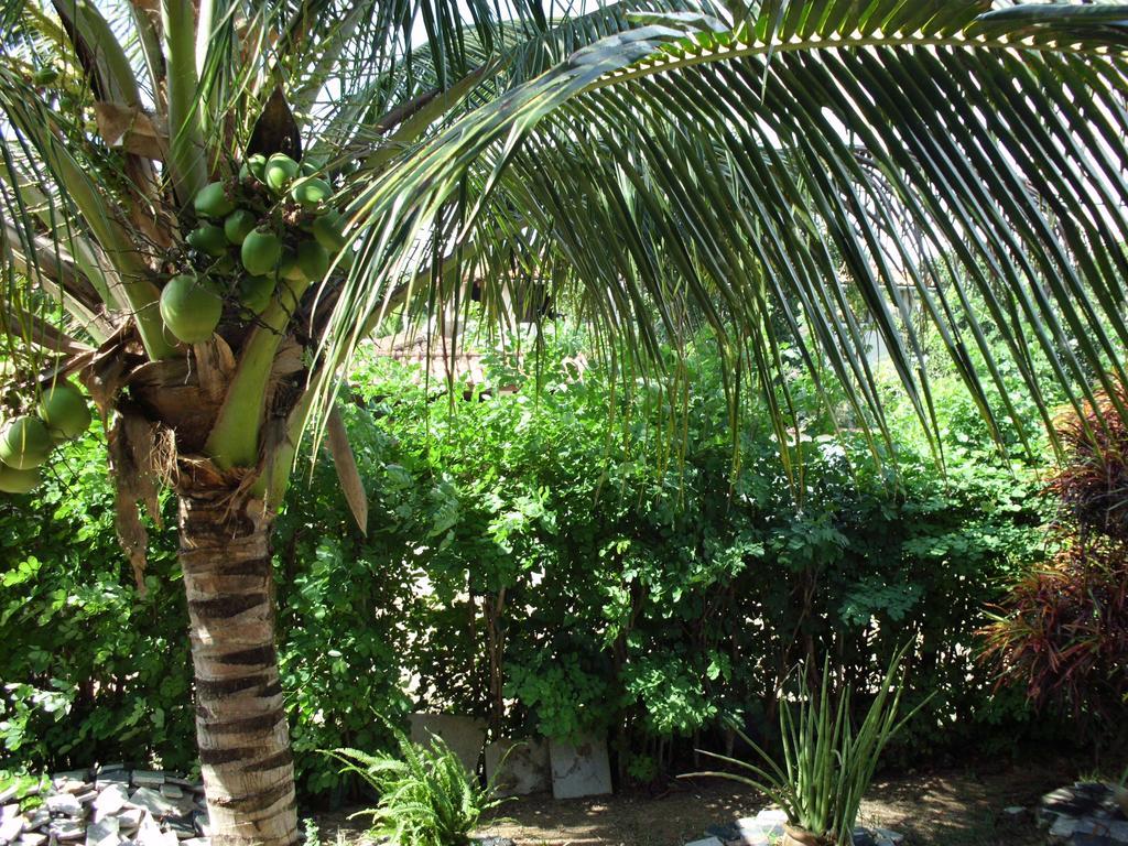 Homestay Pousada Pimenta Rosa